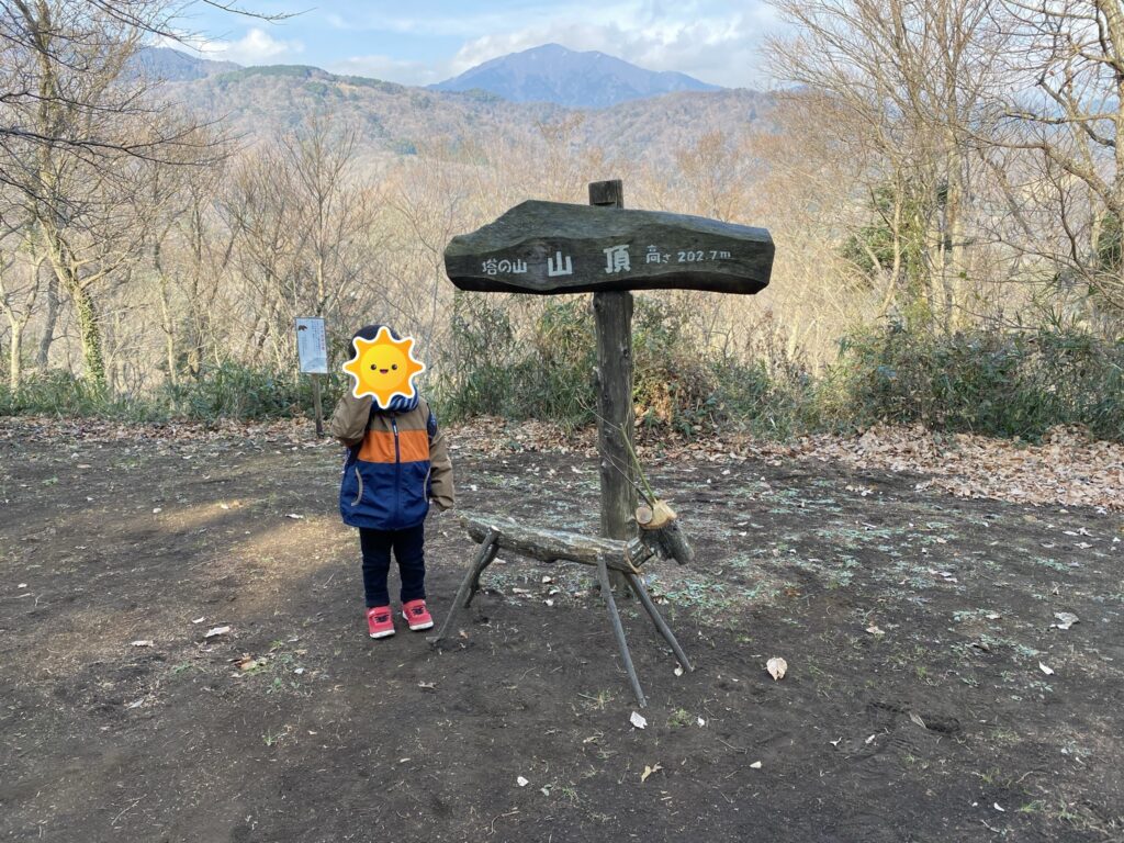 山頂 登頂