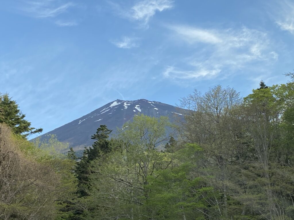 富士山