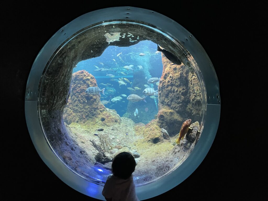 新江ノ島水族館