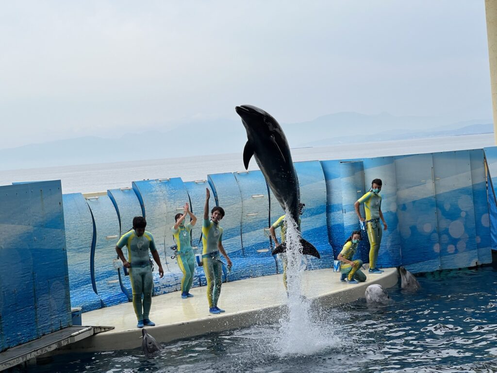 新江ノ島水族館