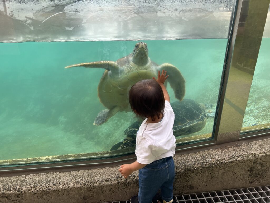 新江ノ島水族館