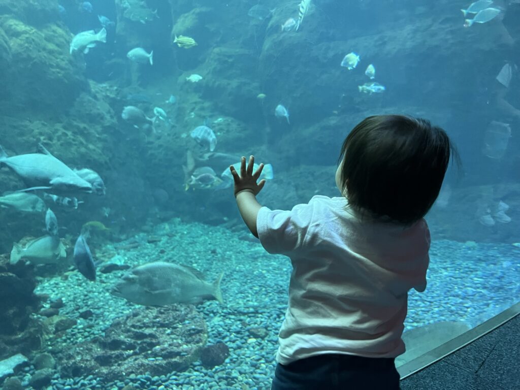 新江ノ島水族館