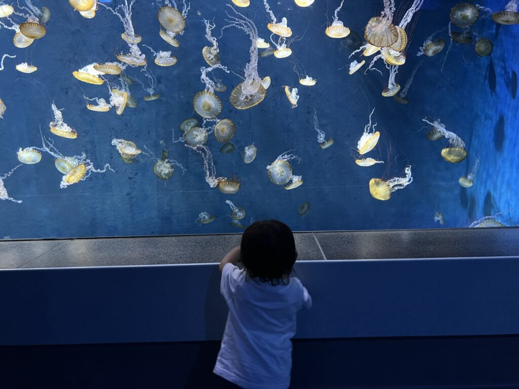 新江ノ島水族館