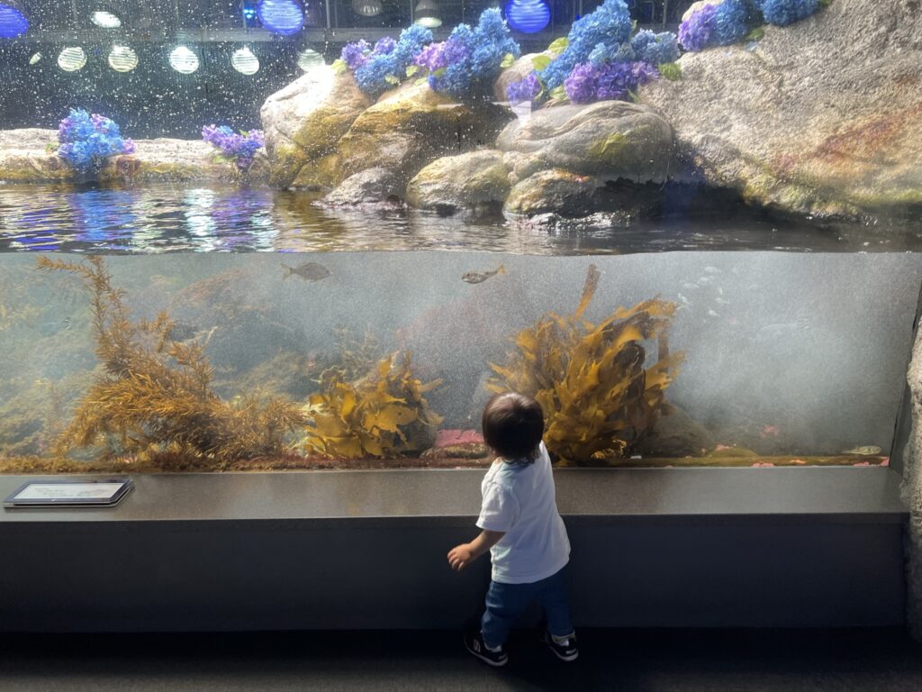 新江ノ島水族館