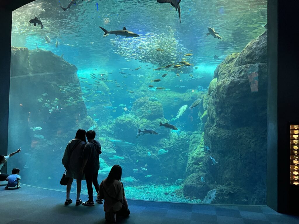 新江ノ島水族館