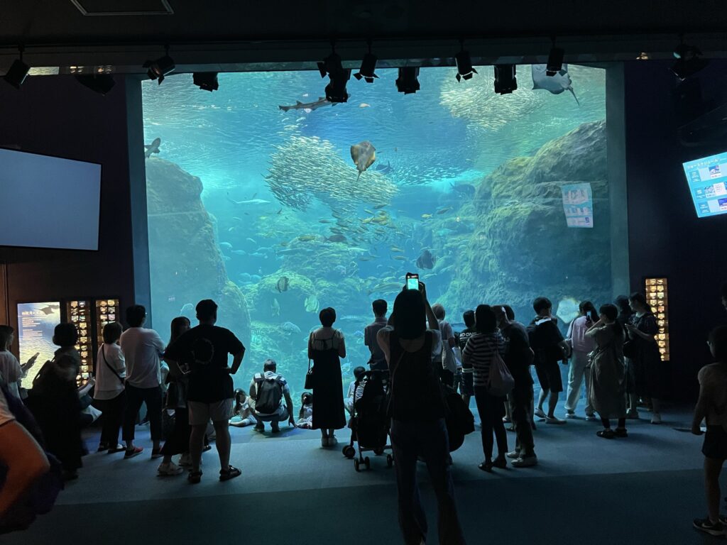 繁忙期の新江ノ島水族館