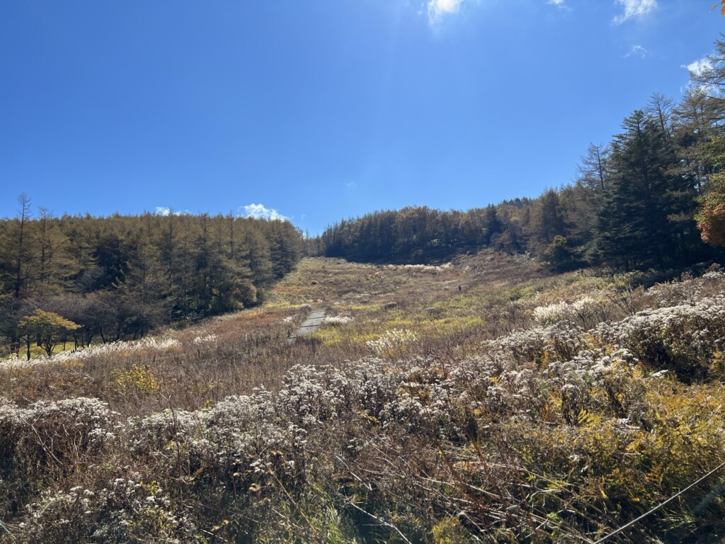 入笠山