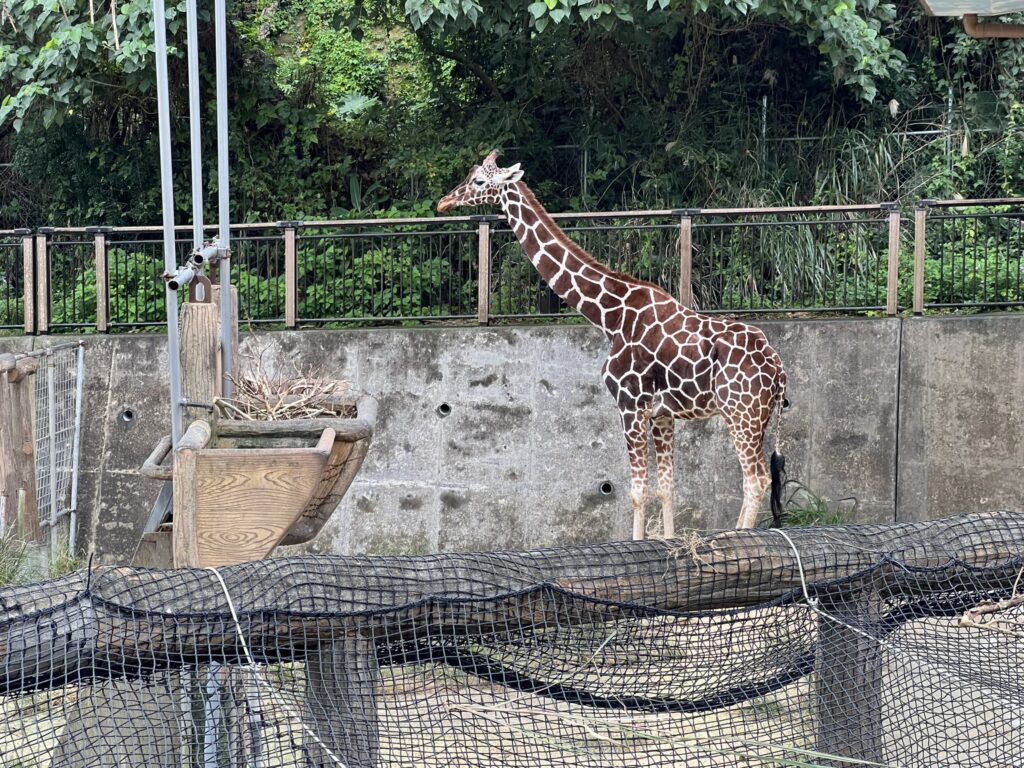 沖縄こどもの国